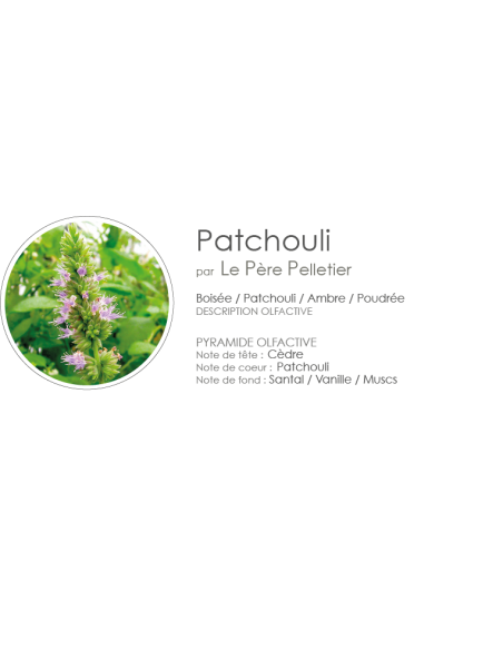 Recharge Diffuseur 250 ml