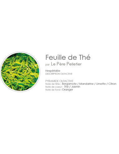 Bougie en Verre Boîte Carrée 150 g