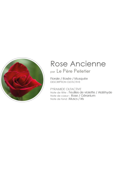 Poudre Aspirateur 400 g