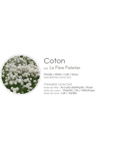 Bougie Intemporelle 220 g